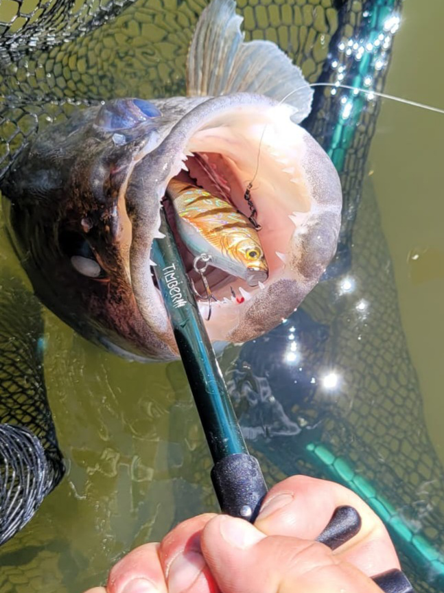 Timber - Sure-Grip Hook Extractor